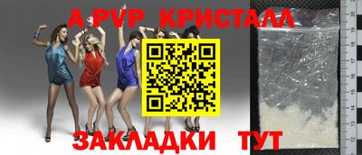 apvp Тверь