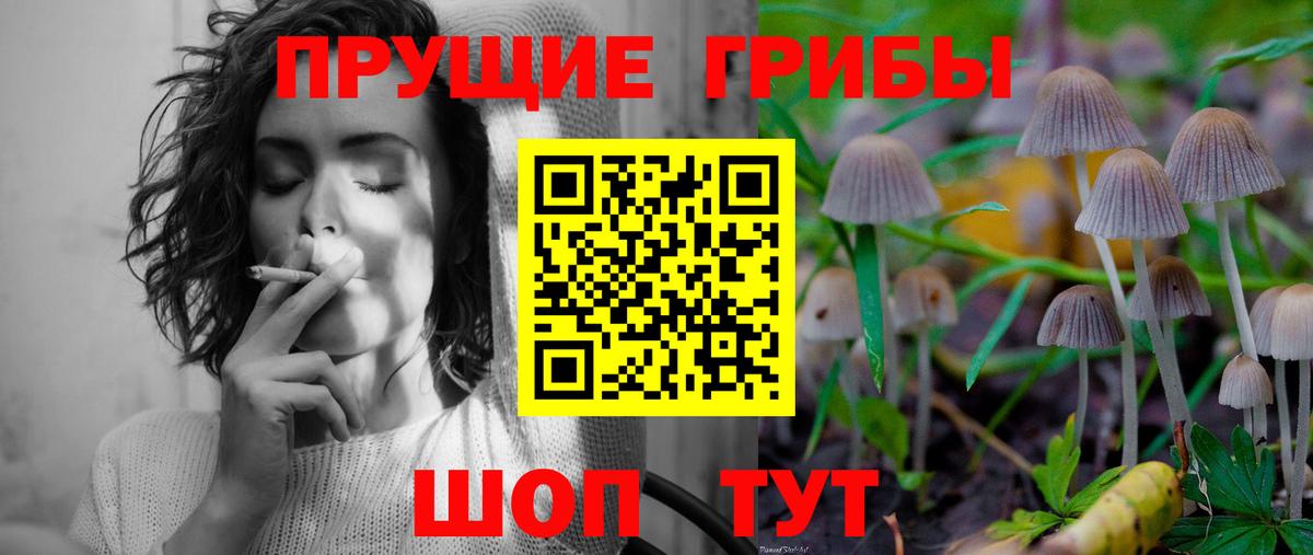 Менделеевск  Псилоцибиновые грибы мицелий  Вход с VPN 